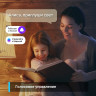 Умная Wi-Fi лампа TP-LINK TAPO L530E многоцветная